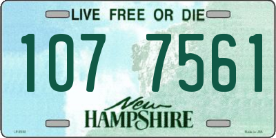 NH license plate 1077561