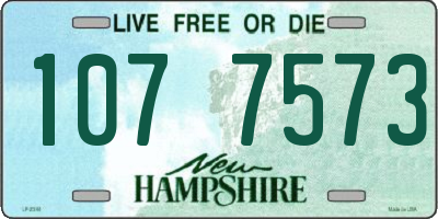 NH license plate 1077573