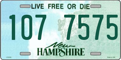 NH license plate 1077575