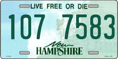 NH license plate 1077583