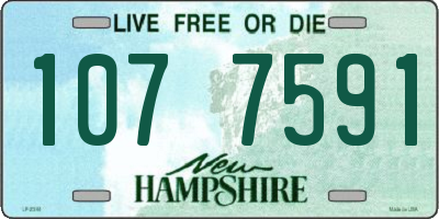 NH license plate 1077591