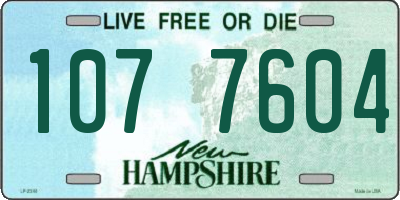 NH license plate 1077604