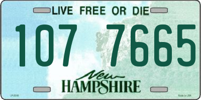 NH license plate 1077665