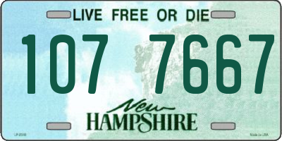 NH license plate 1077667
