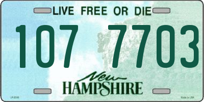 NH license plate 1077703