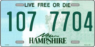 NH license plate 1077704