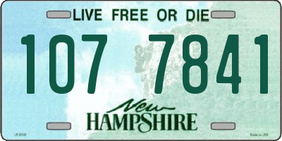 NH license plate 1077841