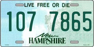 NH license plate 1077865
