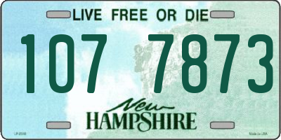 NH license plate 1077873