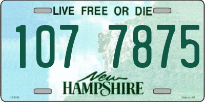 NH license plate 1077875