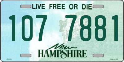 NH license plate 1077881