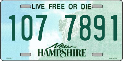 NH license plate 1077891