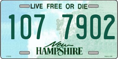 NH license plate 1077902