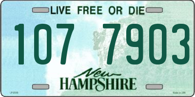 NH license plate 1077903