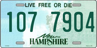 NH license plate 1077904