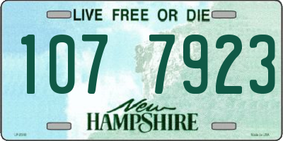 NH license plate 1077923