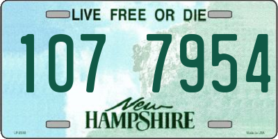 NH license plate 1077954