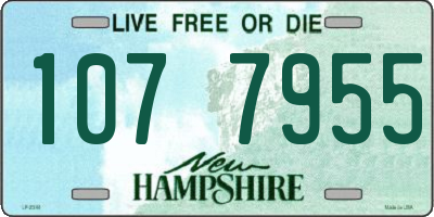 NH license plate 1077955