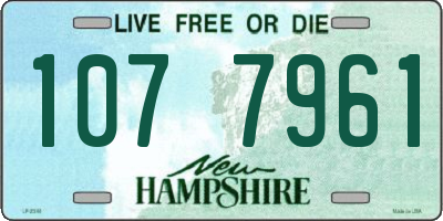 NH license plate 1077961