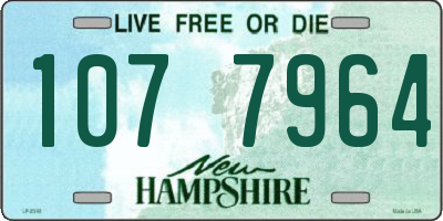 NH license plate 1077964