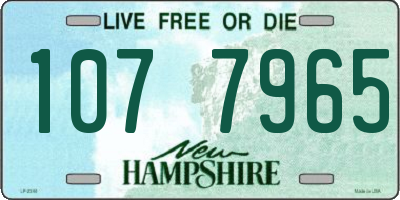 NH license plate 1077965