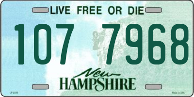 NH license plate 1077968