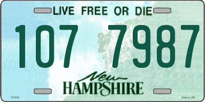 NH license plate 1077987