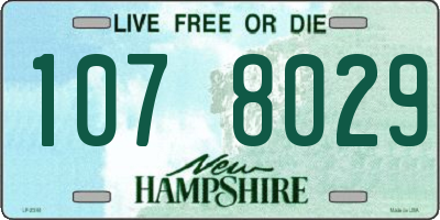NH license plate 1078029