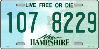 NH license plate 1078229