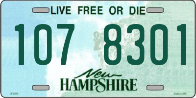 NH license plate 1078301