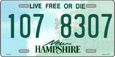 NH license plate 1078307