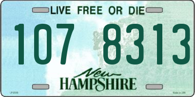 NH license plate 1078313