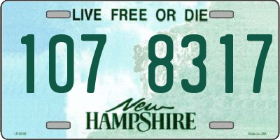 NH license plate 1078317