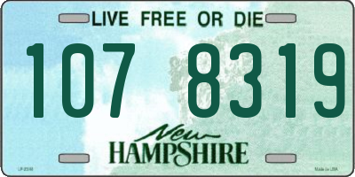 NH license plate 1078319
