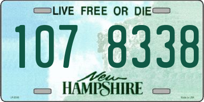 NH license plate 1078338