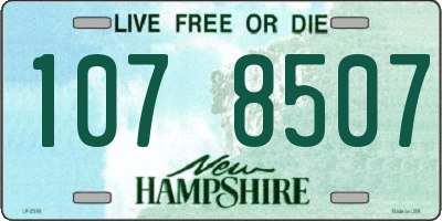 NH license plate 1078507