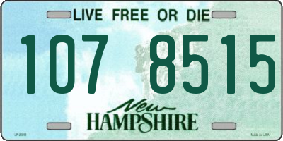 NH license plate 1078515