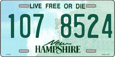 NH license plate 1078524