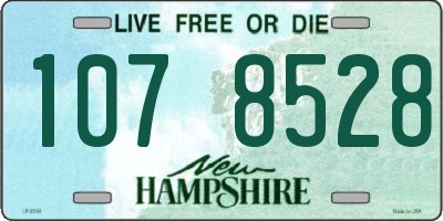 NH license plate 1078528