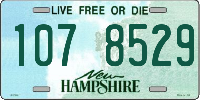 NH license plate 1078529