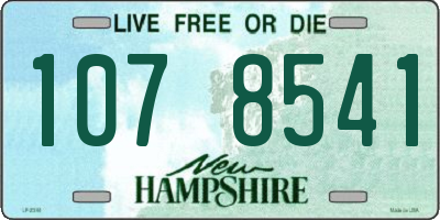 NH license plate 1078541