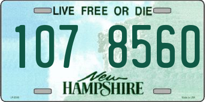 NH license plate 1078560