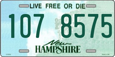 NH license plate 1078575