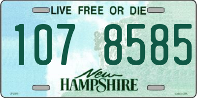 NH license plate 1078585