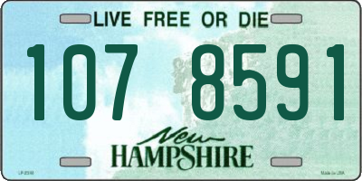 NH license plate 1078591
