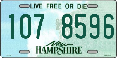 NH license plate 1078596