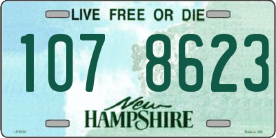 NH license plate 1078623