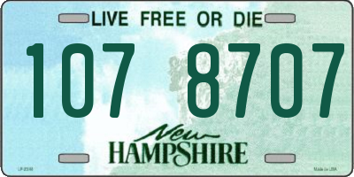 NH license plate 1078707