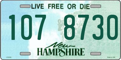 NH license plate 1078730