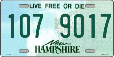 NH license plate 1079017